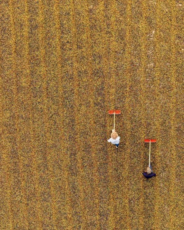 Imagem do WhatsApp de 2025-06-09 à(s) 16.37.01_b9d08d31